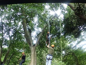 251026攀樹-長春藤高中